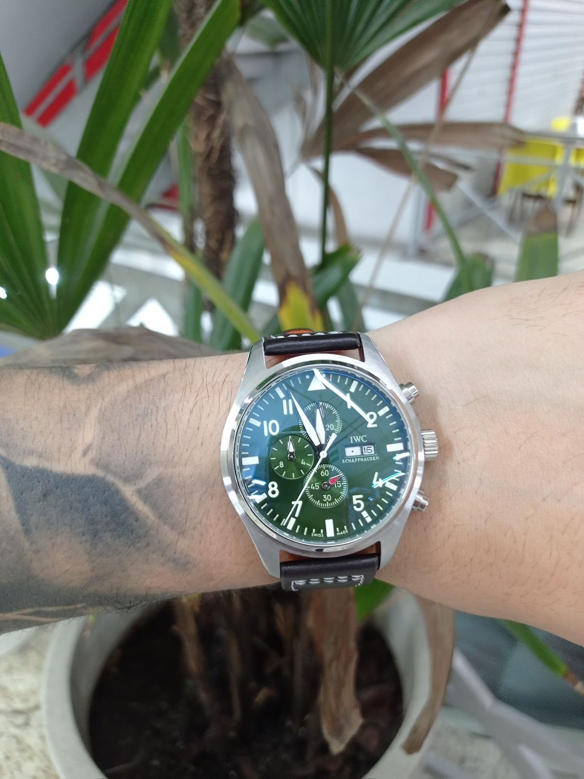 IWC Coleção
